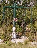 Pipes placed into the ground, surrounded by rocks and trees