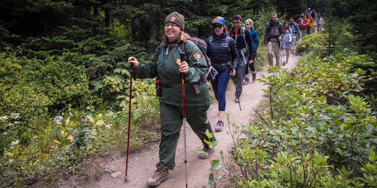 A group of hikers follow a ranger through the forest.