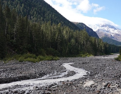 A river meanders through a wide rocky river bed in a forested valley descending from a snowy mountain.