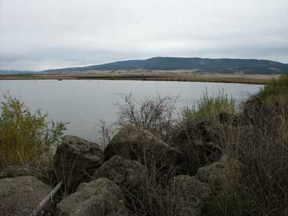 A hillside filled with rocks and tall grasses with a lake in the background on a cloudy day.