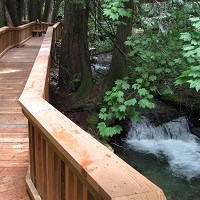 A boardwalk along a cascading creek