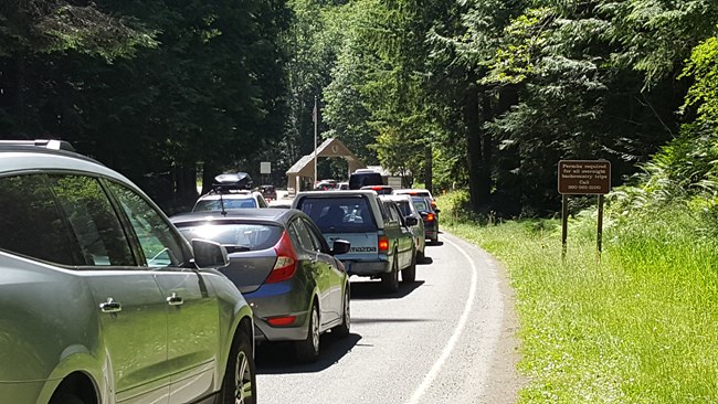 Vehicles lined up at a national park entrance station