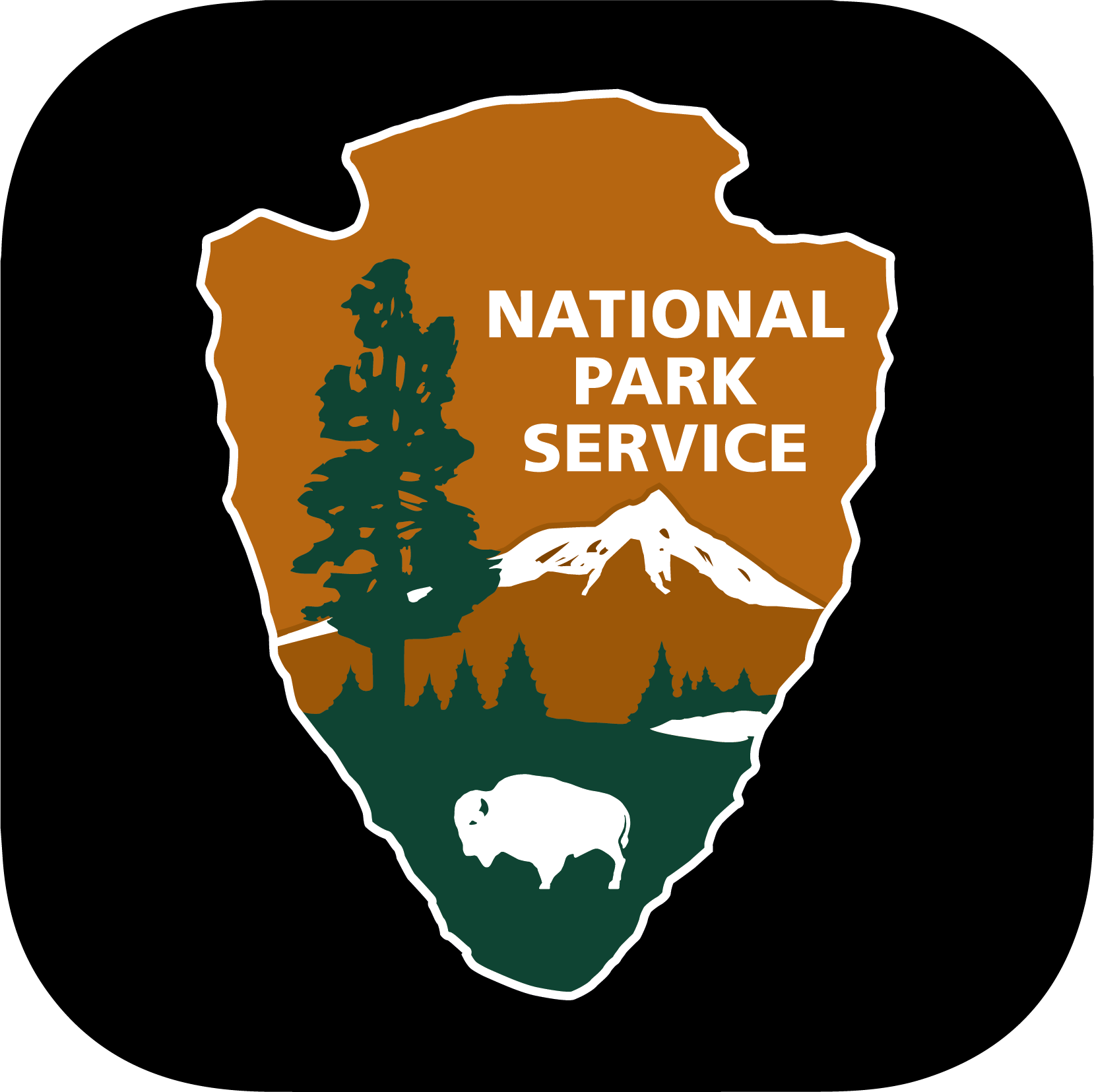 NPS arrowhead logo in a black box.