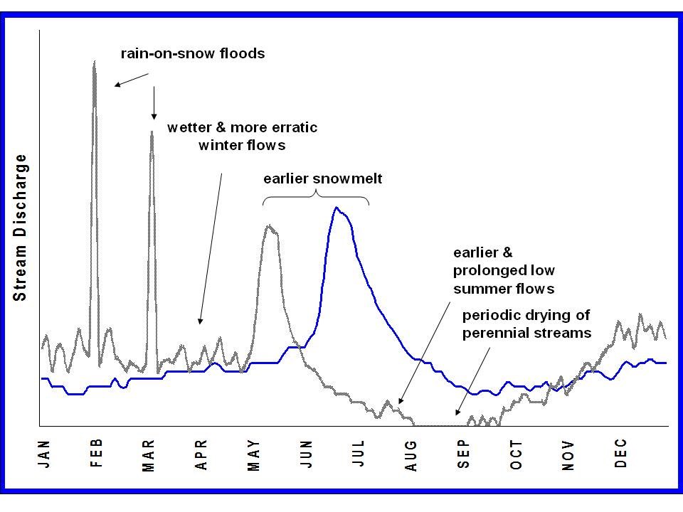 Graph shows stream discharge for 1 year - a blue line shows an average, historic pattern of one pronounced snowmelt period and peak in June to early July, and another line showing climate change related impacts - rain-on snow events and prolnged low flows