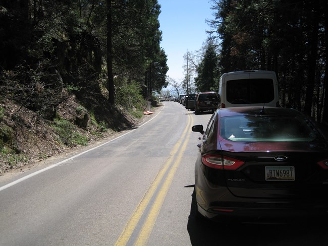 cars wait in a long line on the road