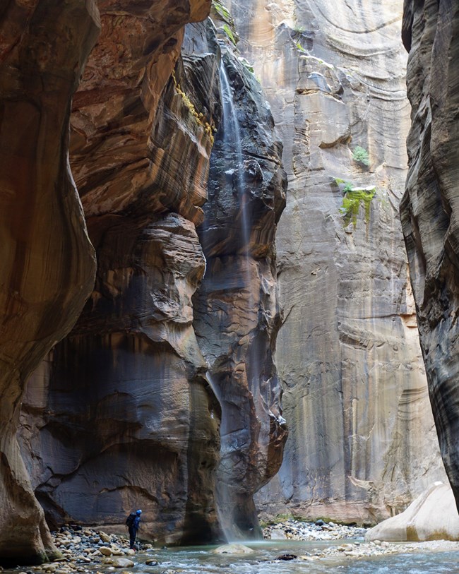 Hiker admiring waterfall in the zion Narrows