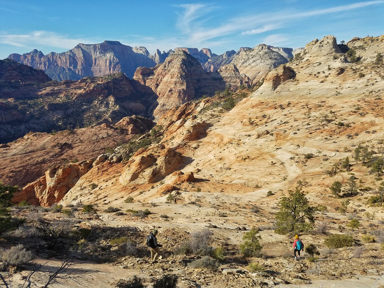 Two hikers off-trail in the Zion Wilderness