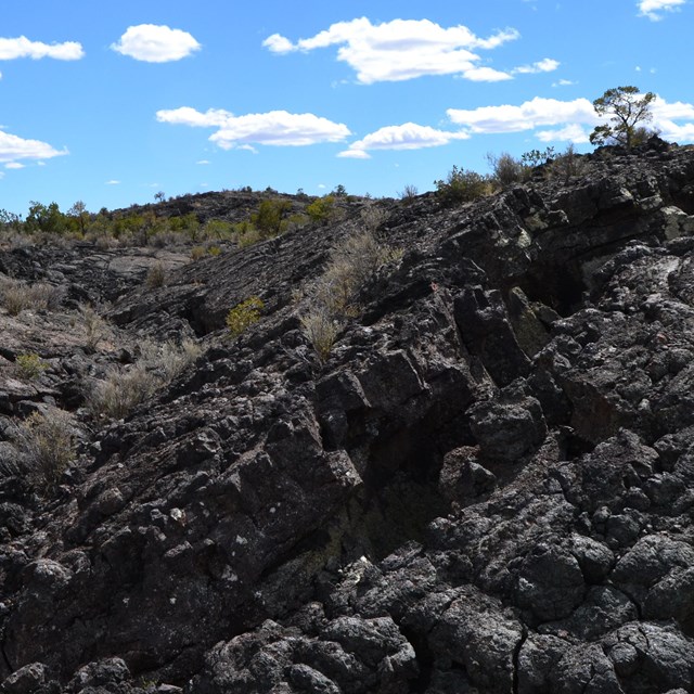 Black, craggy rock bulges up and across the landscape in every direction with sparse trees.