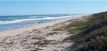 Visitors enjoying a stroll along Canaveral National Seashore's pristine beach