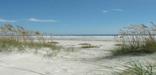 Sea Oat hold windswept dunes along Cumberland Island