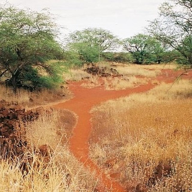 Russian Fort Elizabeth, 2007