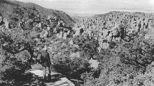 Man on trail looking across canyon full of rock pinnacles