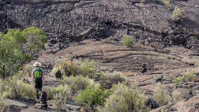 A park ranger stands at the edge of a wall of black rocks next to a small pine tree.