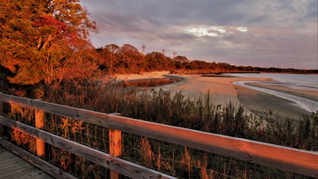 View of trees with red leaves and a shoreline from a bridge