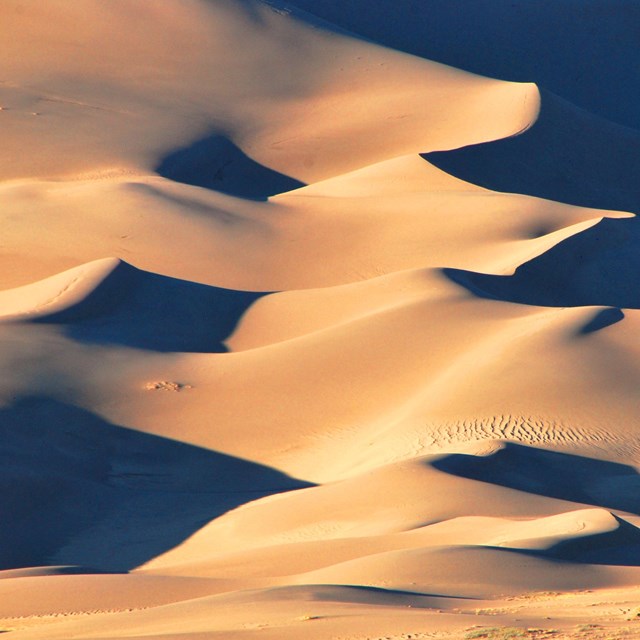 Great Sand Dunes National Park and Preserve  NPS Photo/Patrick Myers