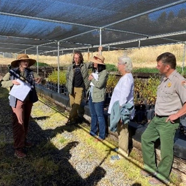 a group of people stand in a greenhouse listening to a person talk