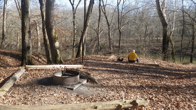 A backcountry campsite covered in fallen leaves. 