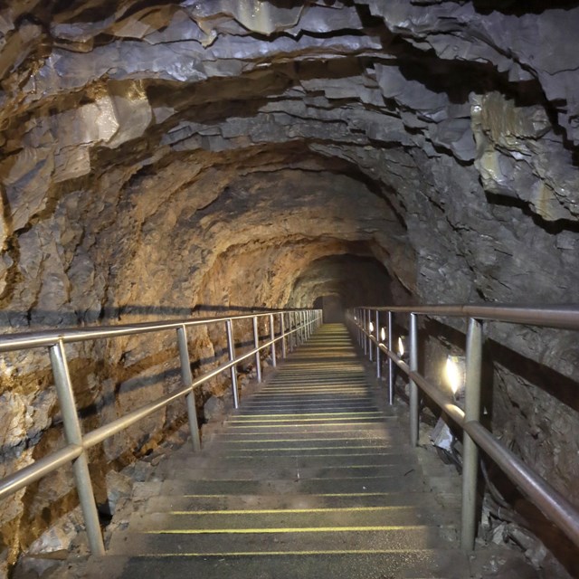 View from inside a cave entrance; dark shadowed rock frames a window to green foliage.