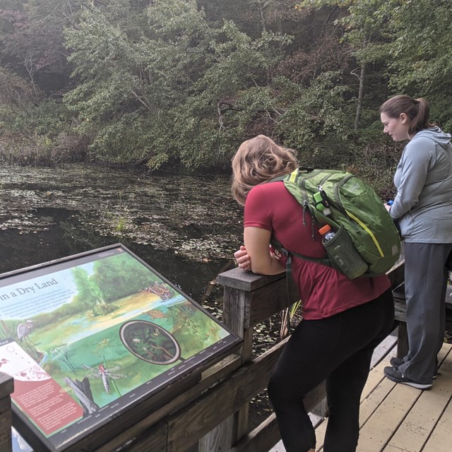 Two people looking at a pond.