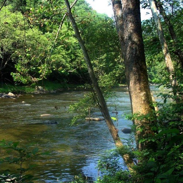 Credit: Dave Bieri. The Bluestone River carves through the rugged Bluestone Gorge. 