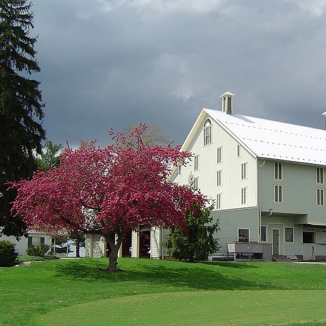 green lawn in front with white barn in back