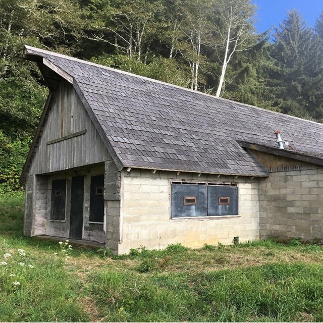 grey, weathered one story farmhouse in green field.