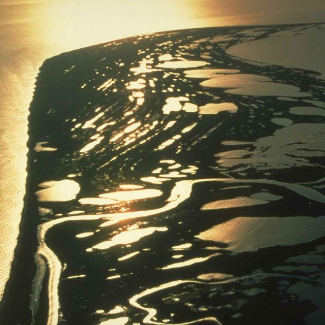 Aerial image of beach ridges. 