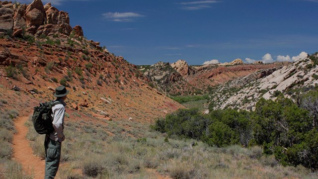 Hiker standing on trail gazing off at multi-colored cliffs