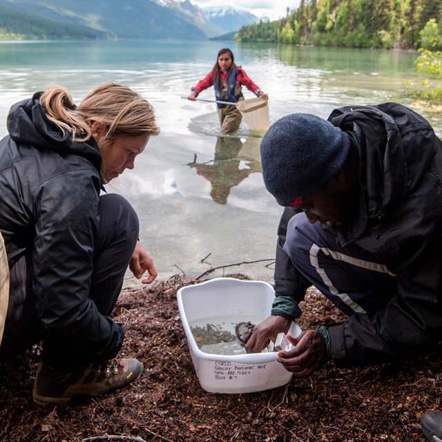 A group of people examine a lake