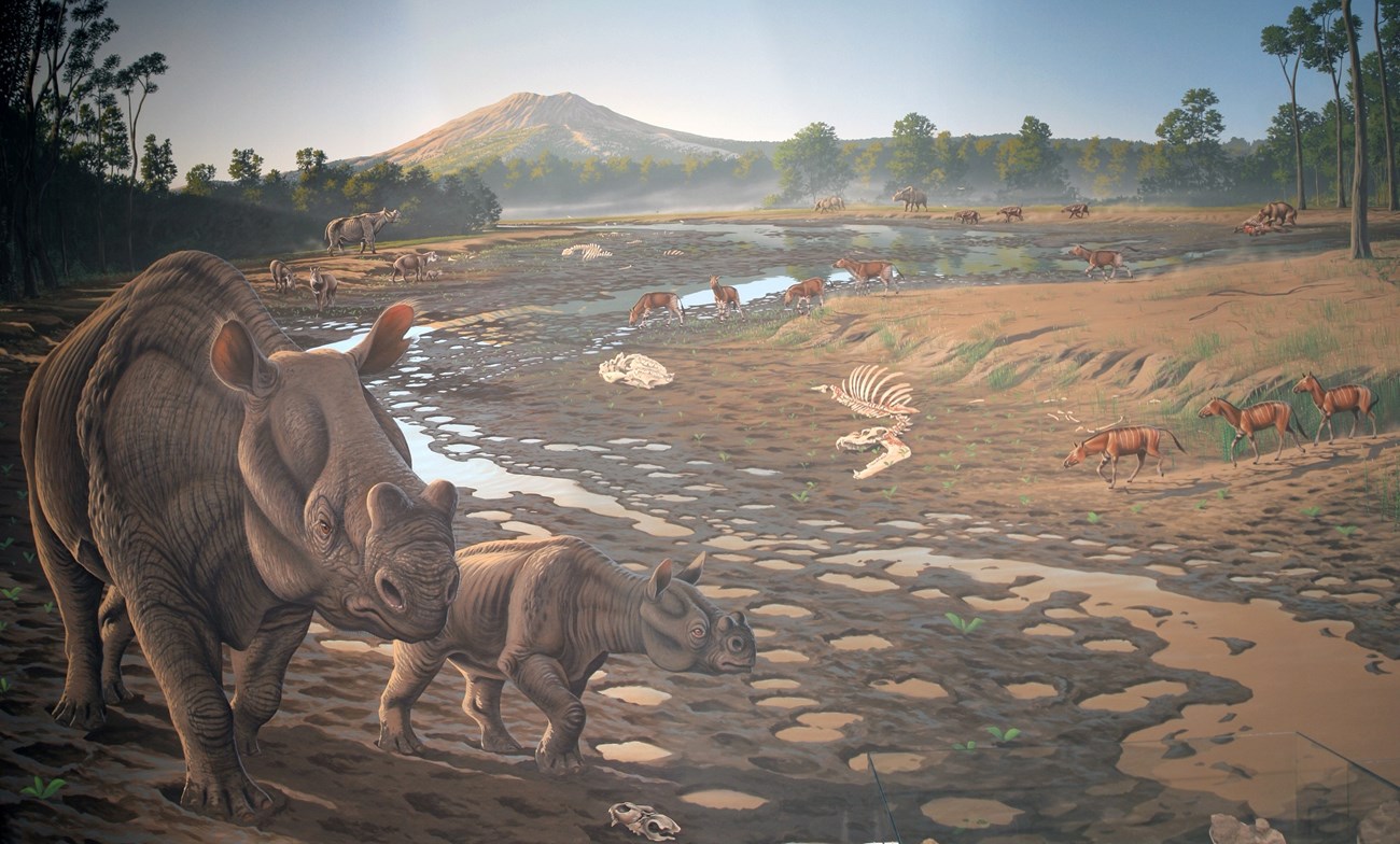 Hancock Mammal Quarry mural depicting strangely similar animals walking in a drying river bend with a volcano in the background and lush, tropical forests hugging the river bend.