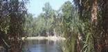 Panaroramic view of Deep Lake area.
