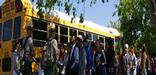 Rangers meet a school group at Royal Palm 