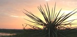 Amistad Sunset