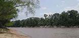 Neches River Scene
