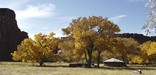 Navajo Farmstead