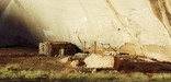 Standing Cow Ruin