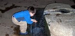 Drinking from Pavilion Spring