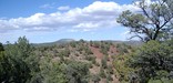 Views from atop cinder cones are well worth the hike!