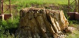 view of petrified stump and mountain meadow