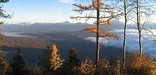 view from apgar lookout