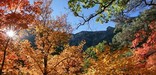 Fall color in McKittrick Canyon makes this location especially beautiful in late autumn.