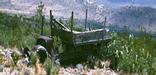 An old stake truck, long since abandoned, still remains near the Williams Ranch House.