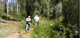 Hiking in Little Emigration Canyon near Salt Lake City, UT