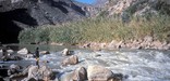 A lone kayaker regards the Rio Grande at the Hot Springs rapids