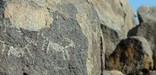 Petroglyph - Photo by John Williams