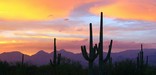 Monsoon Skies Create Dramatic Sunsets, Photo by John Williams