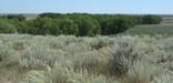 Sand Creek Massacre NHS, credit David Zettner