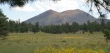 View of Sunset Crater