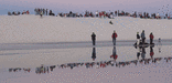 morning crowd on the dunes