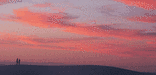 couple enjoying the sunset